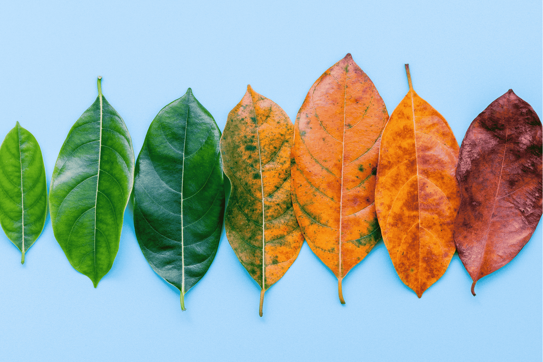 Leading Through Change and Uncertainty