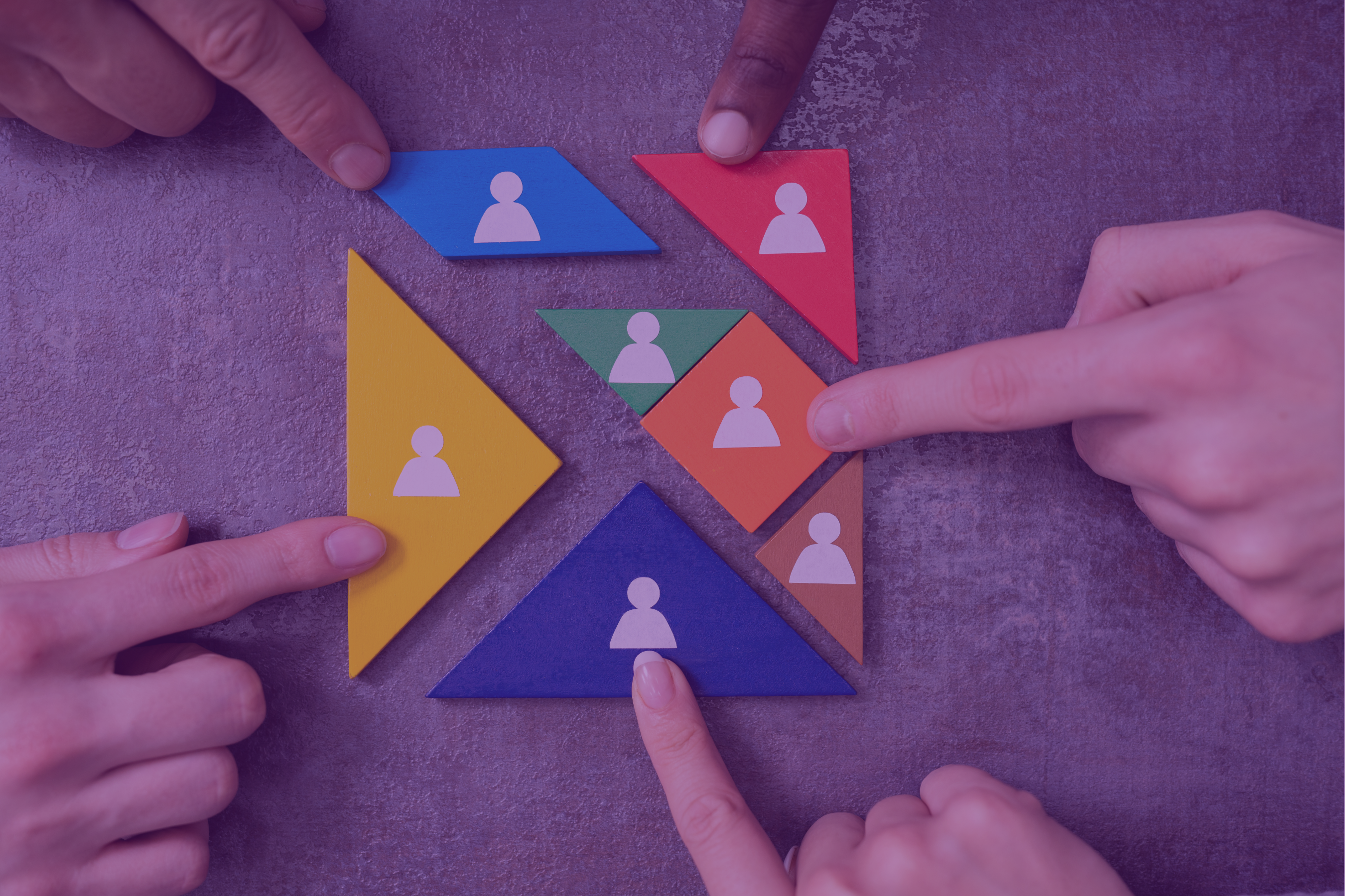 Organizational Development & Design Series