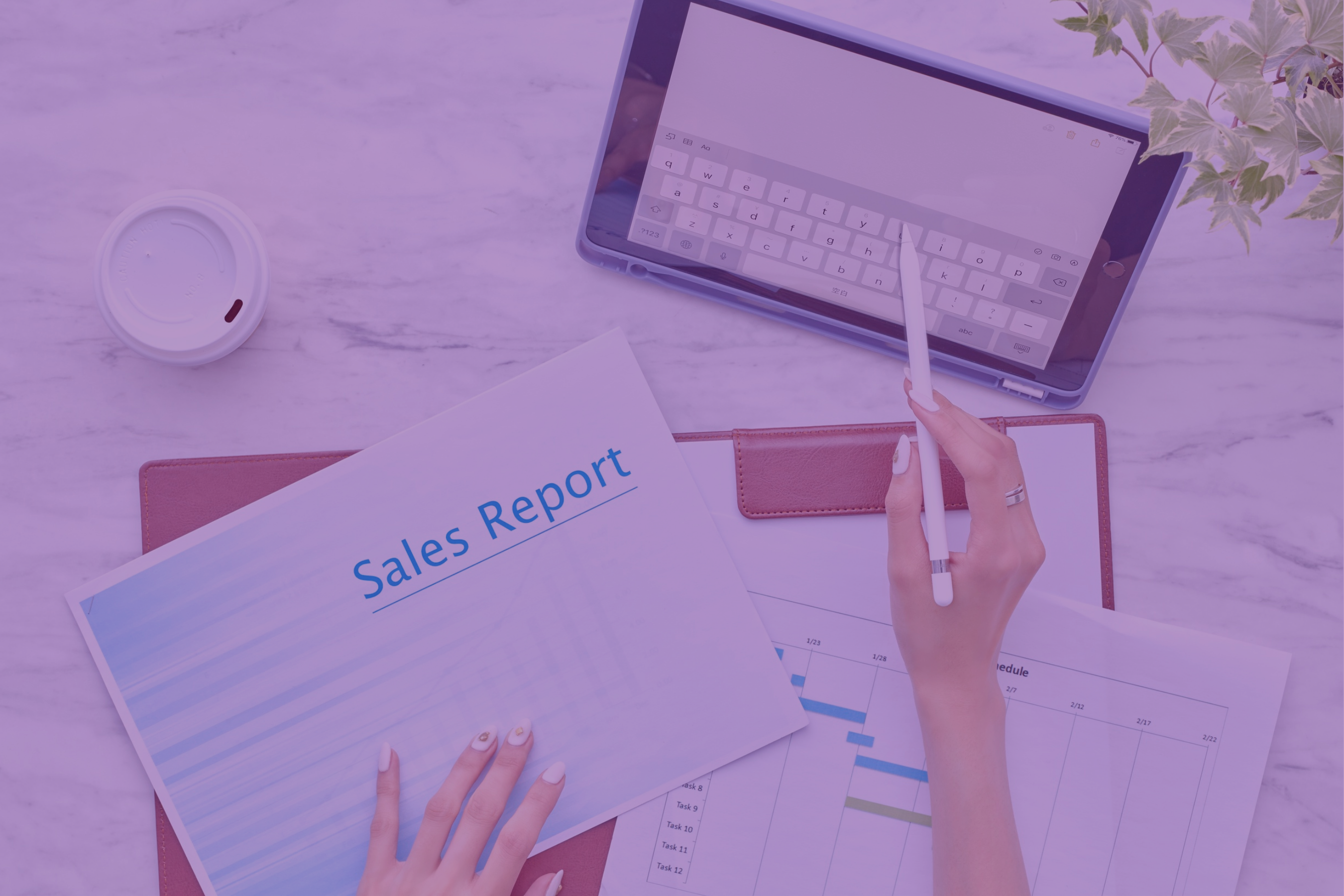 Sales & Marketing Series