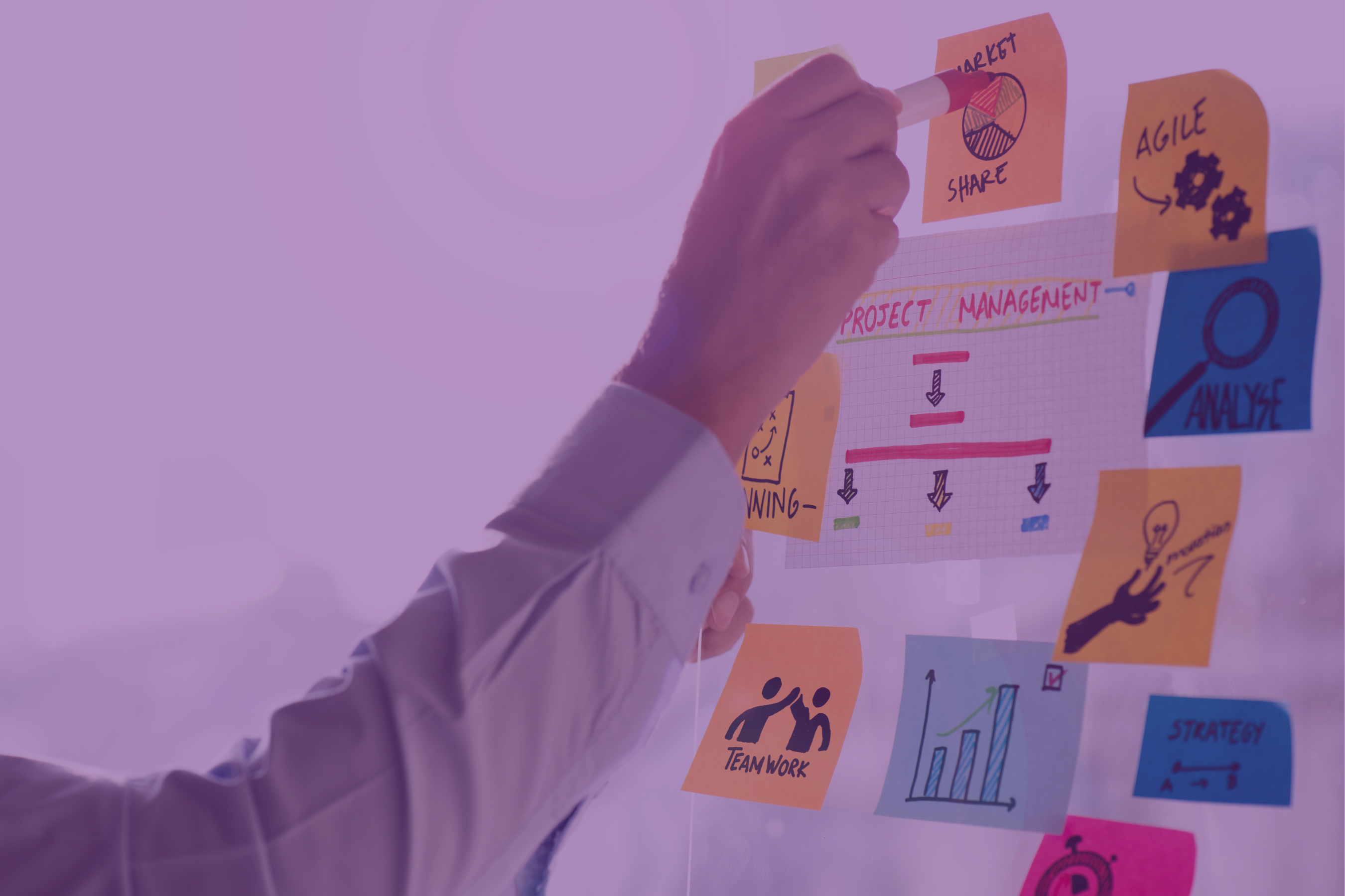 Project Management Series